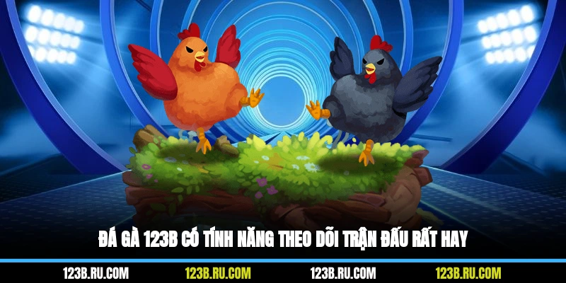 Đá gà 123B có tính năng theo dõi trận đấu rất hay