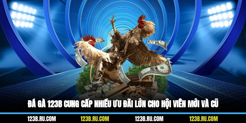 Đá gà 123B cung cấp nhiều ưu đãi lớn cho hội viên mới và cũ