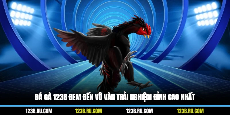 Đá gà 123B đem đến vô vàn trải nghiệm đỉnh cao nhất