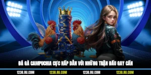 Đá Gà Campuchia Cực Hấp Dẫn Với Những Trận Đấu Gay Cấn