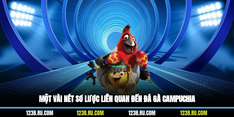 Một vài nét sơ lược liên quan đến đá gà campuchia