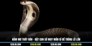 Nằm Mơ Thấy Rắn - Đặt Con Số May Mắn Gì Để Trúng Lô Lớn