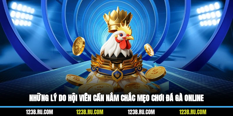 Những lý do hội viên cần nắm chắc mẹo chơi đá gà online