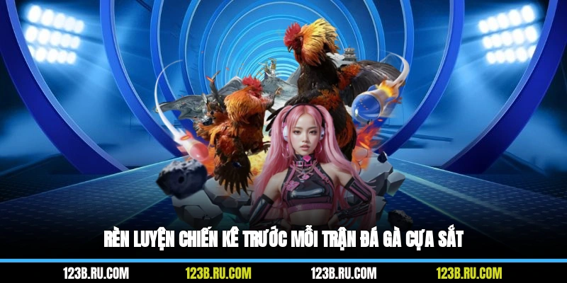 Rèn luyện chiến kê trước mỗi trận đá gà cựa sắt