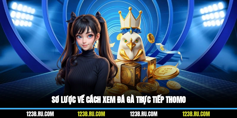 Sơ lược về cách xem đá gà trực tiếp Thomo