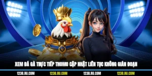 Xem Đá Gà Trực Tiếp Thomo Cập Nhật Liên Tục Không Gián Đoạn